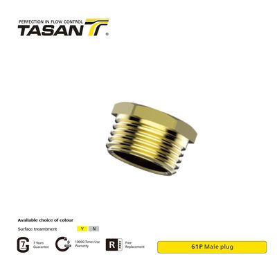 DIN EN 10226-1 Thread Brass Pipe Fittings Brass Male Plug 61P  Rustproof